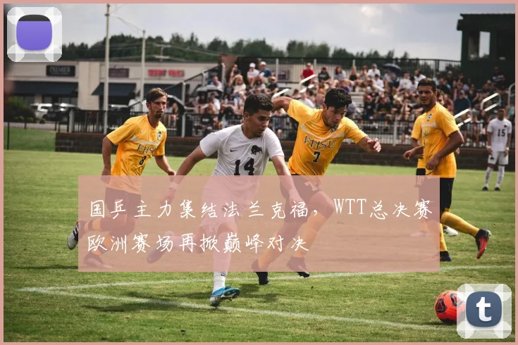 国乒主力集结法兰克福，WTT总决赛欧洲赛场再掀巅峰对决