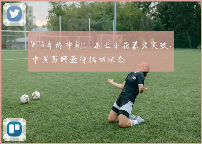 WTA年终冲刺:本土小花蓄力突破,中国男网亟待找回状态