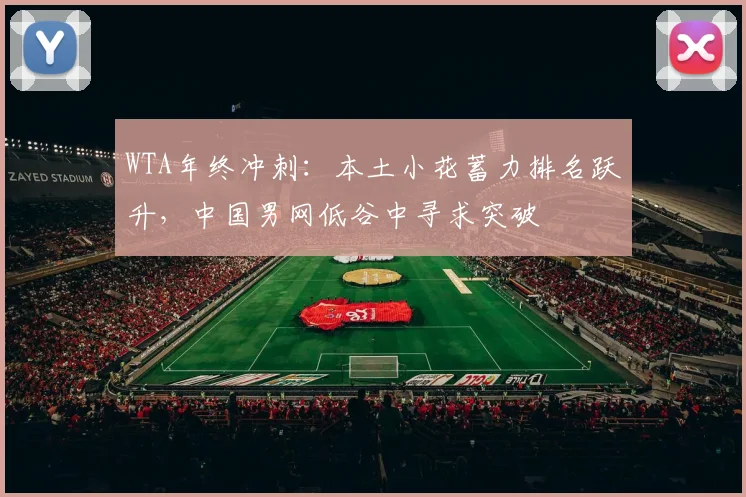 WTA年终冲刺:本土小花蓄力排名跃升,中国男网低谷中寻求突破