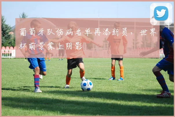 葡萄牙队伤病名单再添新员,世界杯前景蒙上阴影