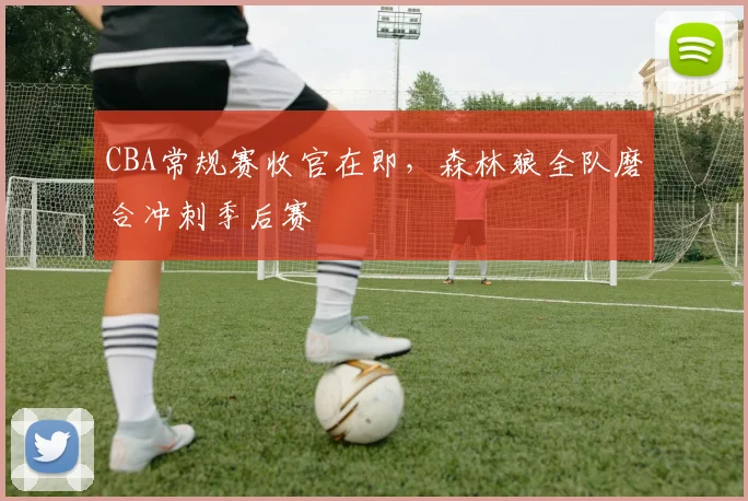 CBA常规赛收官在即,森林狼全队磨合冲刺季后赛