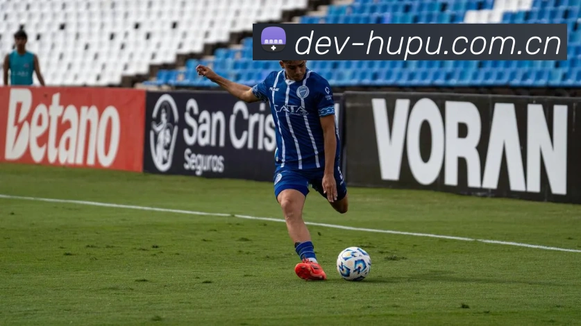 互动内容
